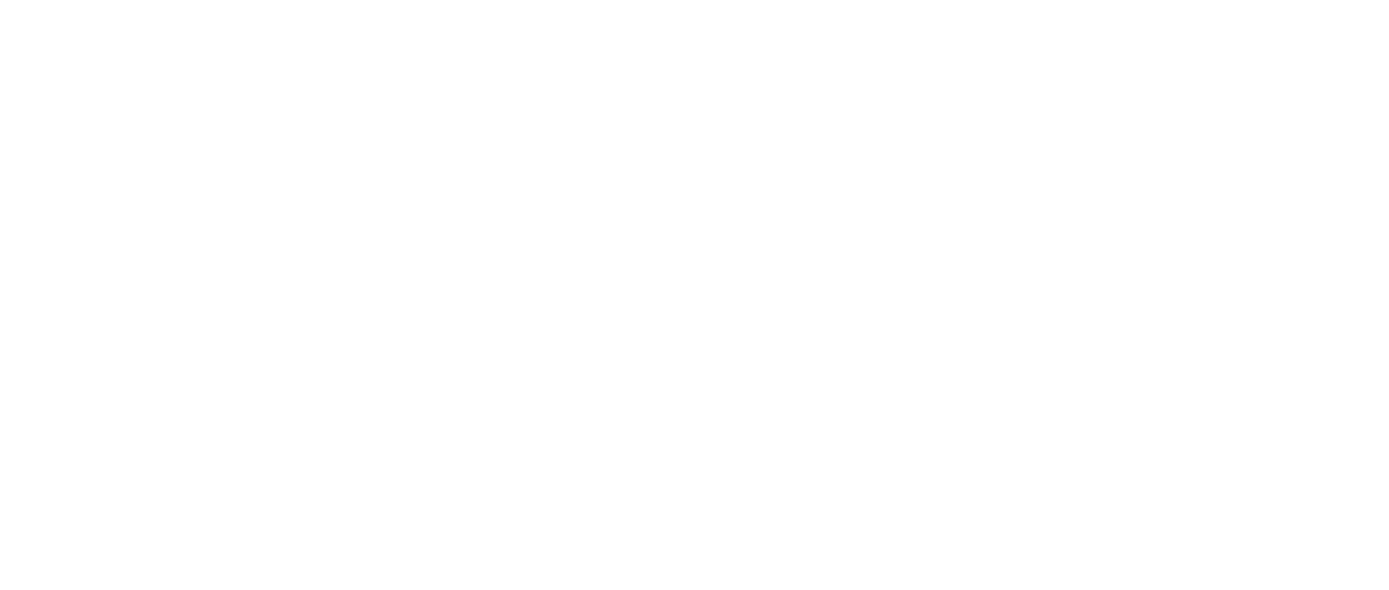 Lion Netflix And become successful in life. lion netflix