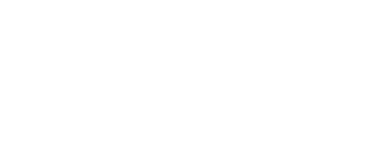 Cei Care Au RevoluÈ›ionat Jocul Netflix